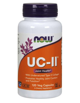 UC-II - Kolagen typu II (120 kaps.)