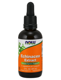 Echinacea Extract - Jeżówka (59 ml)