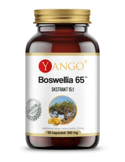 Boswellia 65 (60 kaps.)
