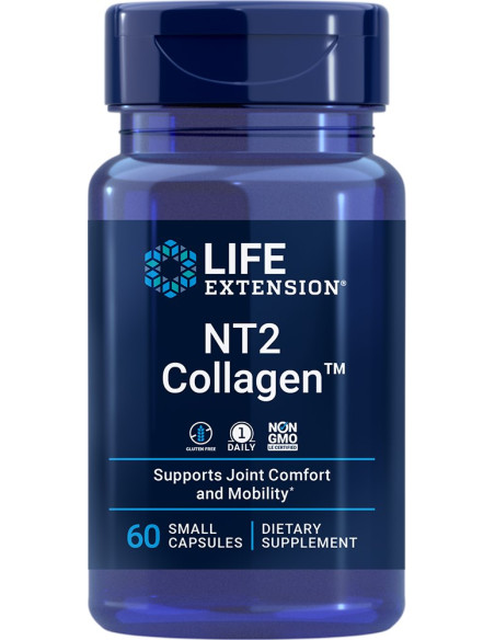 NT2 Collagen - Kolagen 40 mg (60 kaps.)