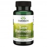 Saw Palmetto 540 mg (100 kaps.)