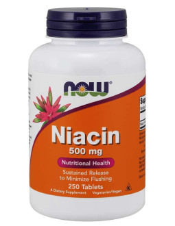Witamina B3 - Niacyna (Niacin) 500 mg (250 tabl.)