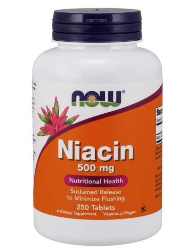 Witamina B3 - Niacyna (Niacin) 500 mg (250 tabl.)