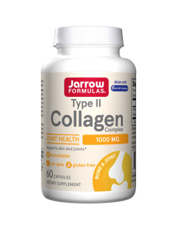 Type II Collagen Complex - Kolagen typu II (60 kaps.)