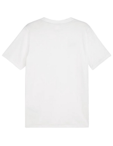 Koszulka puma team goal casuals tee m 658615