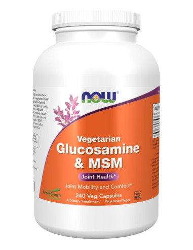 Glucosamine & MSM vegetarian - Glukozamina i MSM (240 kaps.)