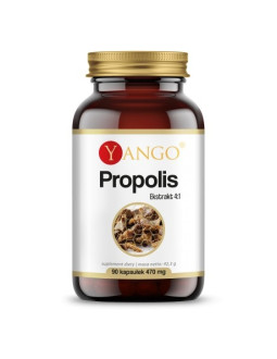 Propolis - ekstrakt 4:1 (90 kaps.)