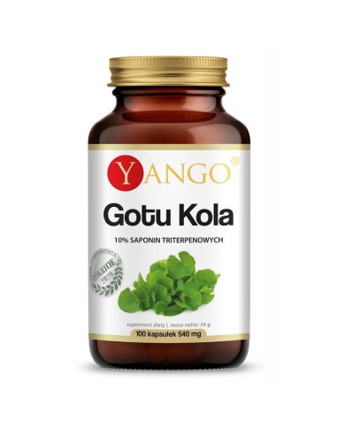 Gotu kola - ekstrakt 10% saponin triterpenowych (100 kaps.)