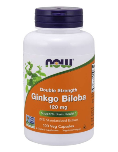 Ginkgo Biloba - Miłorząb Japoński ekstrakt  (100 kaps.)