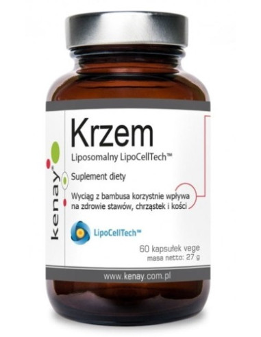 KENAY Krzem liposomalny LipoCellTech (60 kaps.)