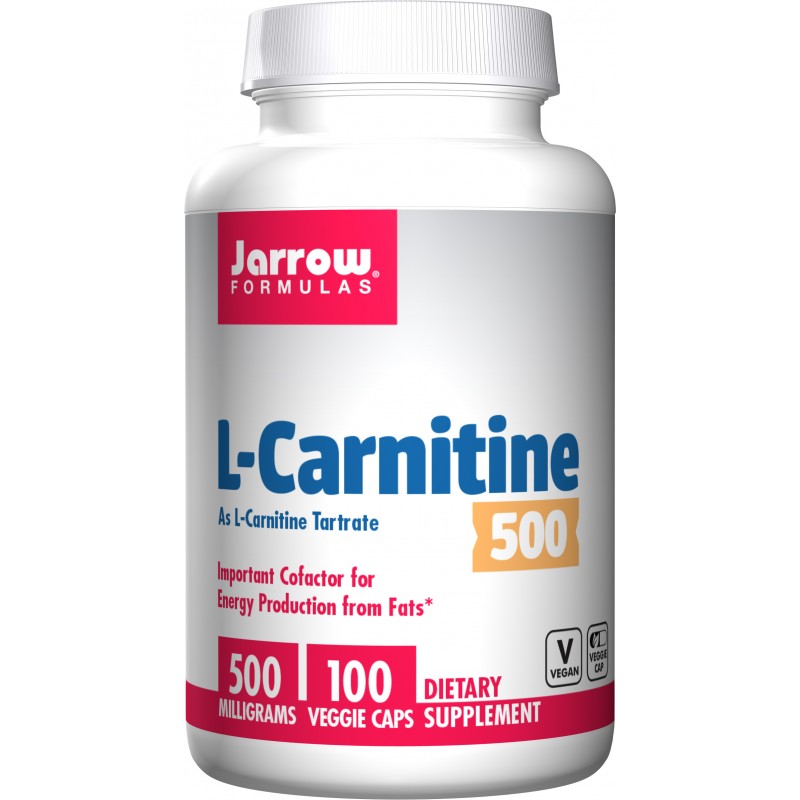 L-Karnitine 500 mg (100 kaps.)