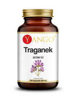 Astragalus - Traganek (100 kaps.)