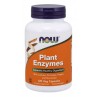 Plant Enzymes - Enzymy roślinne (120 kaps.)