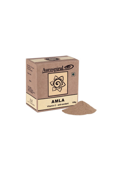 Amla Proszek (100 g)
