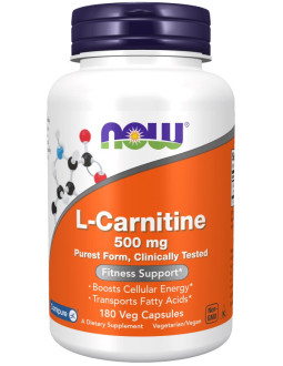 L-Carnitine 500 mg (180 kaps.)