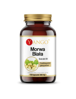 Morwa Biała (60 kaps.)