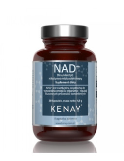 NAD+ (30 kaps.)