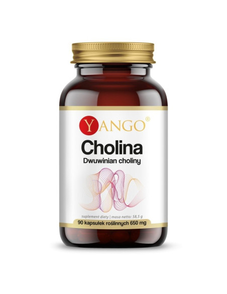 Cholina - Dwuwinian Choliny 560 mg (120 kaps.)