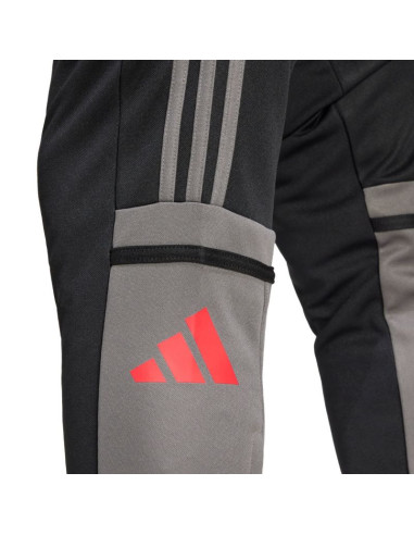 Spodnie adidas squadra 25 training m