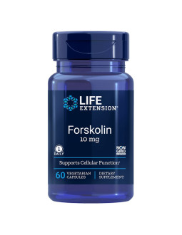Forskolin - Pokrzywa indyjska (Coleus Forskohlii) ekstrakt (60 kaps.)