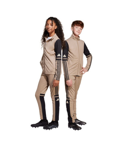 Spodnie adidas squadra 25 training jr