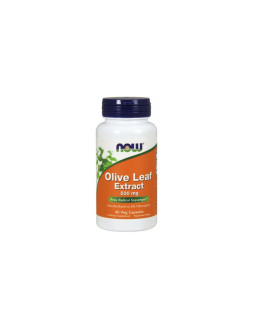 Olive Leaf extract - standaryzowany Liść Oliwny 500 mg (60 kaps.)