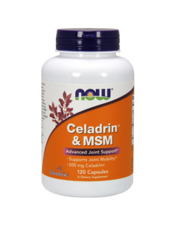 Celadrin 500 mg i MSM 100 mg (120 kaps.)