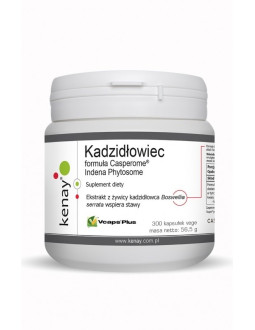 Kadzidłowiec Casperome® Indena Phytosome (300 kaps.)