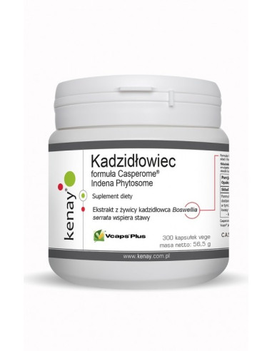 Kadzidłowiec Casperome® Indena Phytosome (300 kaps.)