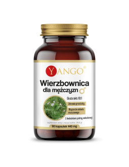 Wierzbownica dla mężczyzn (90 kaps.)