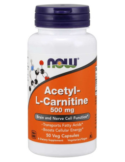 Acetyl L-Karnityna HCI 500 mg (50 kaps.)