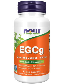 EGCg Green Tea Extract - Zielona Herbata ekstrakt 400 mg (90 kaps.)