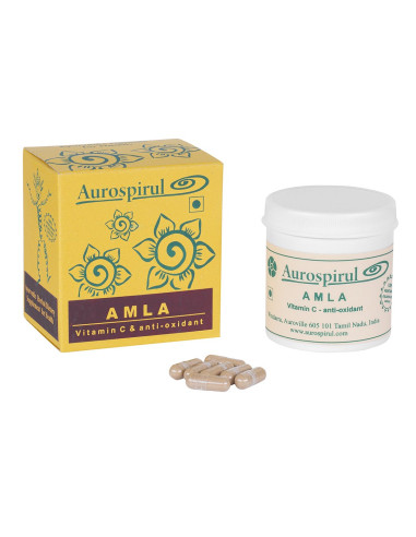 Amla (100 kaps.)