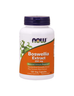 Boswellia 250 mg ekstrakt z Kurkumą (120 kaps.)