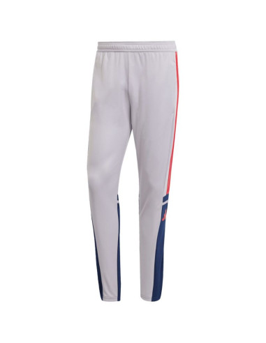 Spodnie adidas squadra 25 training m