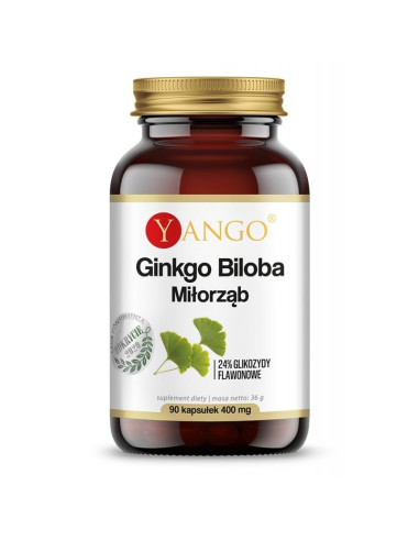 Ginkgo biloba - ekstrakt (90 kaps.)
