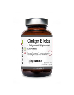 Ginkgo Biloba z Ginkgoselect Phytosome (60 kaps.)