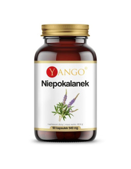 Niepokalanek - ekstrakt 450 mg (90 kaps.)