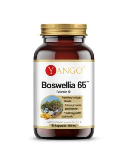 Boswellia 65™ (90 kaps.)