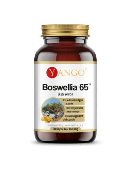 Boswellia 65™ (90 kaps.)