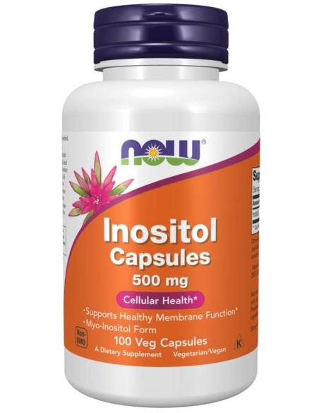 Inozytol 500 mg  (100 kaps.)