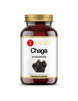 Chaga - ekstrakt 10% polisacharydów (90 kaps.)