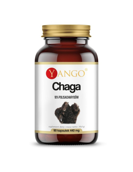 Chaga - ekstrakt 10% polisacharydów (90 kaps.)