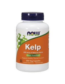 Kelp (naturalny Jod) - Morszczyn Pęcherzykowaty (250 kaps.)