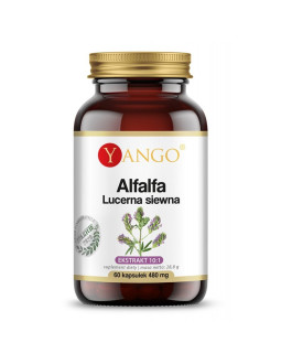 Alfalfa - Lucerna siewna (60 kaps.)