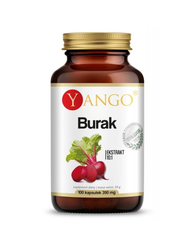 Burak - ekstrakt 10:1 (100 kaps.)
