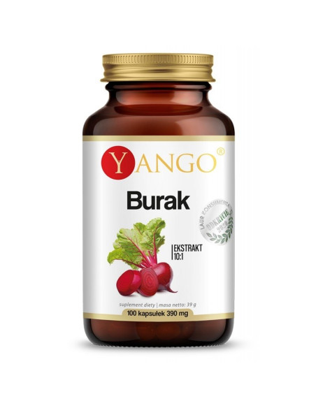 Burak - ekstrakt 10:1 (100 kaps.)