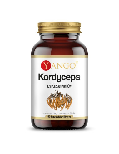 Kordyceps - ekstrakt 10% polisacharydów (90 kaps.)