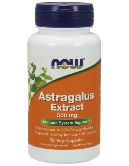 Astragalus Extract - Traganek 500 mg (90 kaps.)