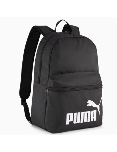 Pleack puma phase 091164